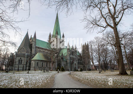 La cattedrale Nidaros di Trondheim in Norvegia Europa Foto Stock