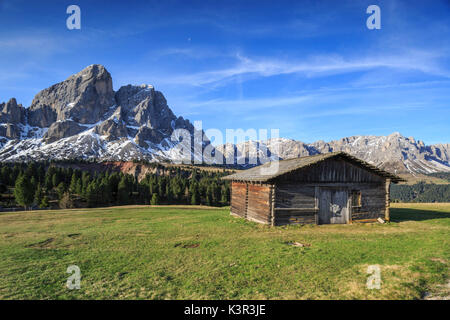 Il Sass de Putia in background arricchito da prati verdi. Il Passo delle Erbe. Puez Odle Alto Adige Dolomiti Italia Europa Foto Stock