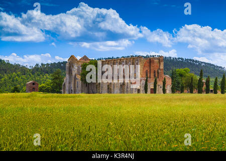 Abbazia di San Galgano vicino Siena, Toscana, Italia, Europa Foto Stock