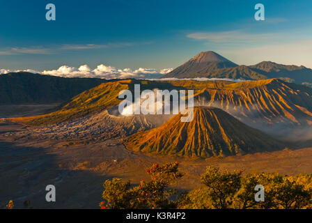 Sunrise su Mt. Bromo e il Tengger Semeru caldera dal Monte Penanjakan Foto Stock