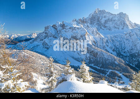 Vista l'alta vetta del Monte Civetta incorniciato da boschi innevati dal Monte Fertazza in inverno Dolomiti Provincia di Belluno Veneto Italia Europa Foto Stock