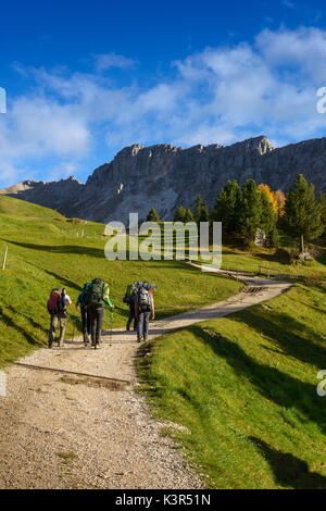 Puez Olde parco naturale, Trentino Alto Adige, Dolomiti, Alpi,Italia Foto Stock