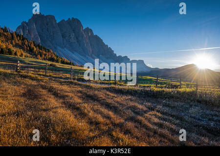 Puez Olde parco naturale, Trentino Alto Adige, Dolomiti,Alpi,Italia Foto Stock