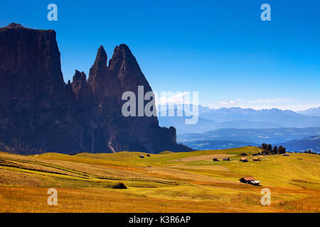 Sciliar parco naturale, Dolomiti, Italia. L'Alpe di Siusi e i profili del massiccio dello Sciliar in estate (Dolomiti). Foto Stock