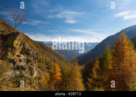 Parco Nazionale dello Stelvio, Lombardia, Italia. Messi Valley Foto Stock