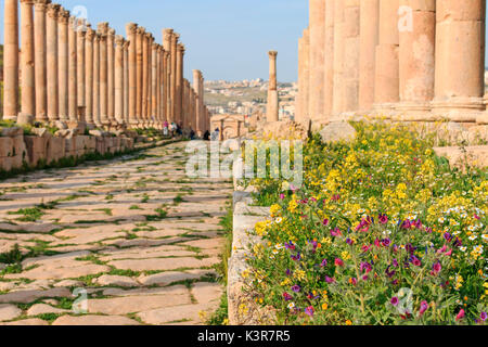 I ruderi di antiche Jerash, la città greco-romana di Gerasa in Giordania moderna Foto Stock