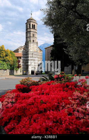 Chiesa di Santa Maria del Tiglio, Gravedona lago di Como, Lombardia, Italia Foto Stock