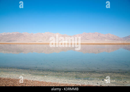 Le piscine del Mar Morto nel Parco Ein Evrona Foto Stock