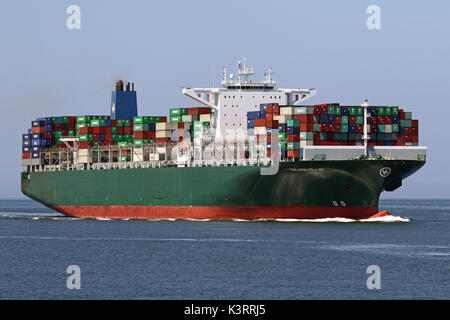 Il contenitore grande nave thalassa hellas entra nel porto di Rotterdam. Foto Stock