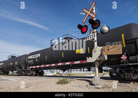 Dunmore, Alberta, Canada. Il 27 agosto, 2016. Un treno merci, comprese le vetture del serbatoio caricato con benzina, viaggio lungo Canadese Pacific binari ferroviari nei pressi di Dunmore, Alberta. Credito: Bayne Stanley/ZUMA filo/Alamy Live News Foto Stock