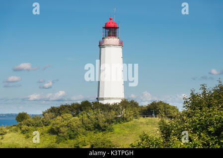 Faro dornbusch sull'isola hiddensee su una collina con arbusti ed erba nel pomeriggio la luce solare, mecklenburg-west pomerania, Germania Foto Stock