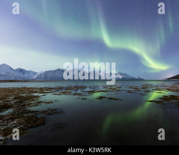 Northern Lights è riflessa sulla riva ghiacciata. Spaknesora naturreservat, Djupvik, Lyngenfjord, Alpi Lyngen, Troms, Norvegia, Lapponia, l'Europa. Foto Stock