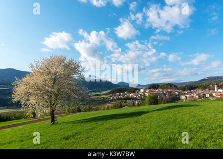 L'Italia, Trentino Alto Adige, praterie di Val di Non in una giornata di primavera. Foto Stock