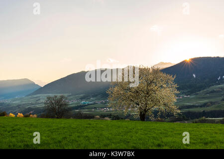 L'Italia, Trentino Alto Adige, praterie di Val di Non in una giornata di primavera. Foto Stock