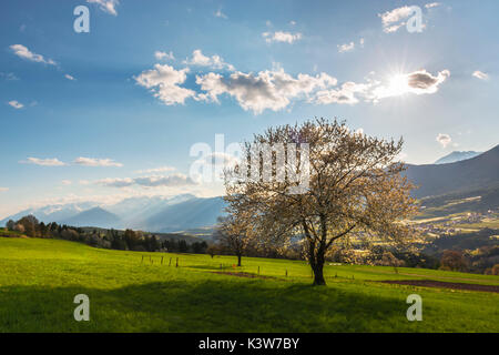 L'Italia, Trentino Alto Adige, praterie di Val di Non in una giornata di primavera. Foto Stock