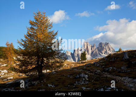 Croda da Lago, Ampezzo Dolomiti, Cortina d'Ampezzo, Belluno, Veneto, Italia. Foto Stock