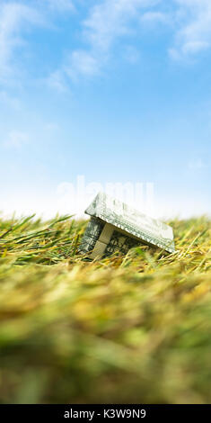 Alloggiamento crash di mercato. naufragio origami casa in contanti sull'erba Foto Stock