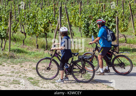 Il vigneto di Sobes è il vigneto unico e più antico della Repubblica Ceca, il Parco Nazionale di Podyjí, Thayatal, vicino a Znojmo, la pista del vino moravo per le persone Foto Stock