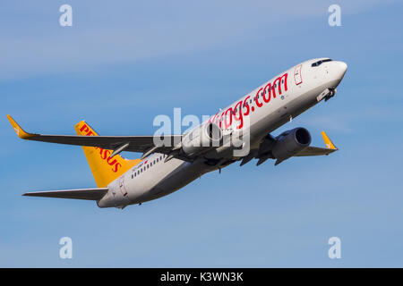 AMSTERDAM-SCHIPHOL - Feb 16, 2016: Pegasus Airlines Boeing 737 aereo il decollo dall'aeroporto Schiphol di Amsterdam nei Paesi Bassi Foto Stock