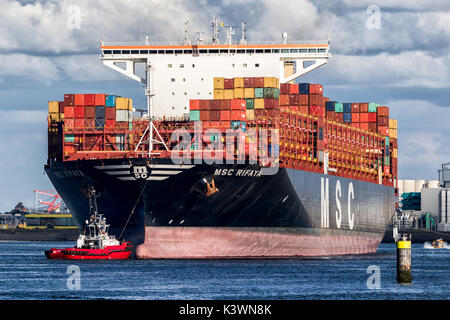 ROTTERDAM, Paesi Bassi - 2 sett 2017: nave portacontainer da MSC essendo strappo nel porto di Rotterdam Foto Stock