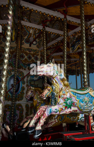 Il Brighton Pier precedentemente noto come Palazzo Pier è una grande attrazione turistica sul lungomare. Una giostra Foto Stock