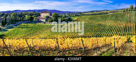 Paesaggio autunnale - golden vigneti della Toscana - regione di vite di Italia Foto Stock