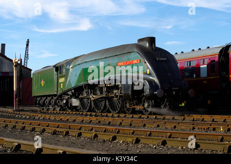 60009,Unione del Sudafrica presso il Didcot Railway Center, Foto Stock