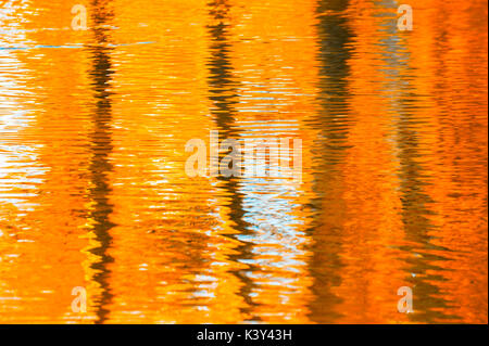 Riflessi nell'acqua, astratto autunno sfondo Foto Stock