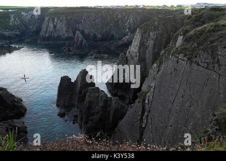 Guardando fuori dal Trwyn Cynddeiriog promontorio in estate verso Porthclais campeggio vicino a St Non e St David's Pembrokeshire Wales UK KATHY DEWITT Foto Stock