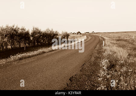 Piccola strada asfaltata in Islanda. Foto Stock