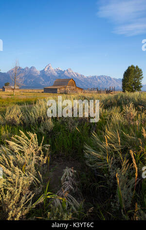 Moulton granaio sulla riga Mormone Grand Teton National Park Wyoming Foto Stock