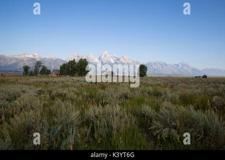 Moulton granaio sulla riga Mormone Grand Teton National Park Wyoming Foto Stock
