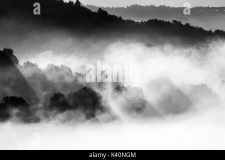 Potenti raggi di sole taglio attraverso la nebbia e proiettare le ombre degli alberi Foto Stock