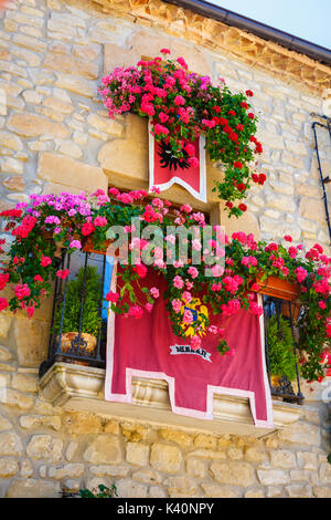 Standard. Fascino Week 2016. Bargota, Navarra, Spagna, Europa. Foto Stock