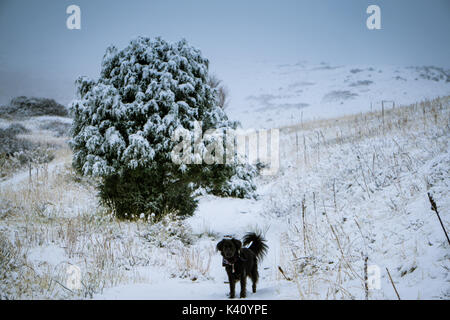 Lungo una passeggiata in Matthews/gli inverni Park in Morrison, Colorado. Foto Stock