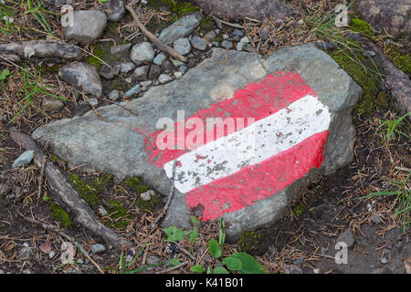 Percorso a piedi sign in Austria, bandiera dipinta su una roccia Foto Stock
