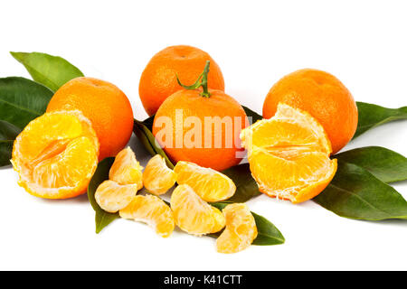 Succosa mature tangerini su un ramo con foglie di colore verde Foto Stock