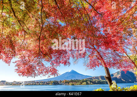 Mt. Fuji e Lago Kawaguchi in autunno, Giappone Foto Stock