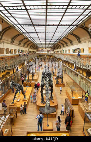 Il Museo Nazionale di Storia Naturale, Parigi, Francia Foto Stock