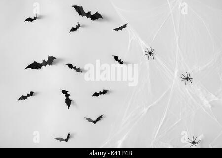 Decorazione di halloween di pipistrelli e ragni sul web Foto Stock