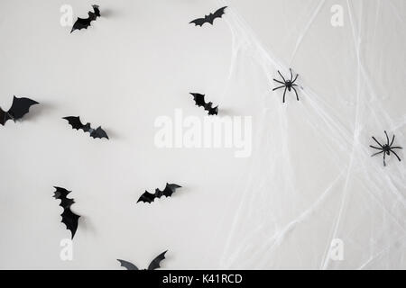 Decorazione di halloween di pipistrelli e ragni sul web Foto Stock