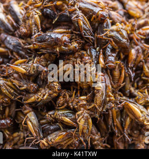 Esotica cucina asiatica. Cavallette fritte close-up come cibo di strada in Myanmar (Birmania) Foto Stock