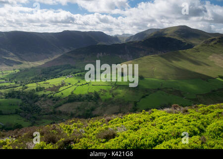 Alta Snab banca e Dale Head da Ard dirupi, Lake District, Cumbria, England, Regno Unito Foto Stock