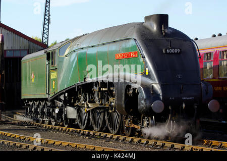 60009 Unione del Sudafrica presso il Didcot Railway Center Foto Stock