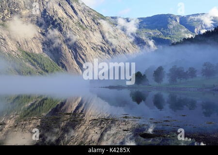 Misty mattinata nebbiosa sul fiordo in Norvegia Foto Stock