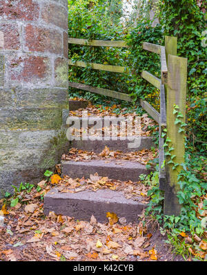 Lascia sul terreno in antica pietra passi in autunno in Arundel, West Sussex, in Inghilterra, Regno Unito. Visualizzazione verticale. Concetto di autunno. Foto Stock