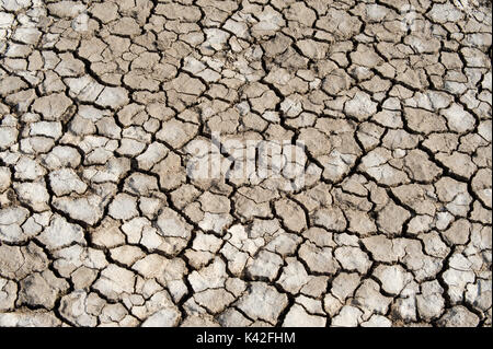 Dry & Massa incrinato, Rann di Kutch, Gujarat, India, soluzione salina paludoso deserto di argilla Foto Stock