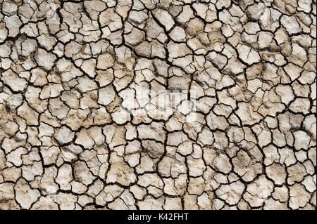 Dry & Massa incrinato, Rann di Kutch, Gujarat, India, soluzione salina paludoso deserto di argilla Foto Stock