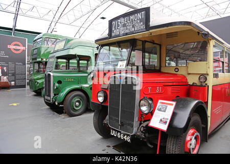 AEC Regal 1 (1929) e AEC Regal 1 (1938), AEC Routemaster (1962) Beyond, London Bus Museum, Weybridge, Surrey, Inghilterra, Gran Bretagna, Regno Unito, Europa Foto Stock