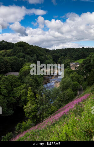 Fiume Swale dove fluisce attraverso il Richmond in Swaledale, North Yorkshire Dales in estate, England, Regno Unito Foto Stock